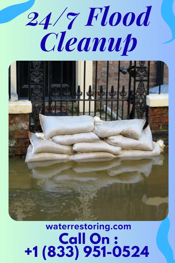 24/7 Flood Cleanup in Burlison, TN