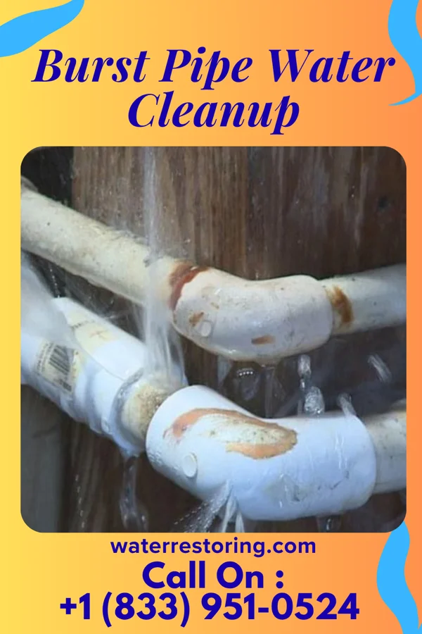 Burst Pipe Water Cleanup in Burlison, TN