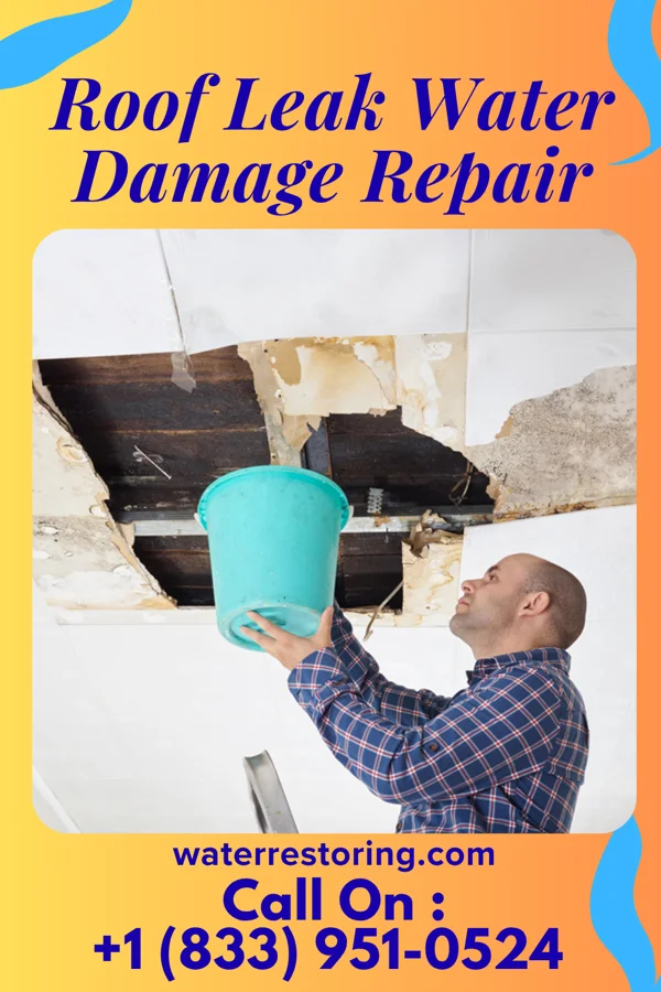 Roof Leak Water Damage Repair in Burlison, TN