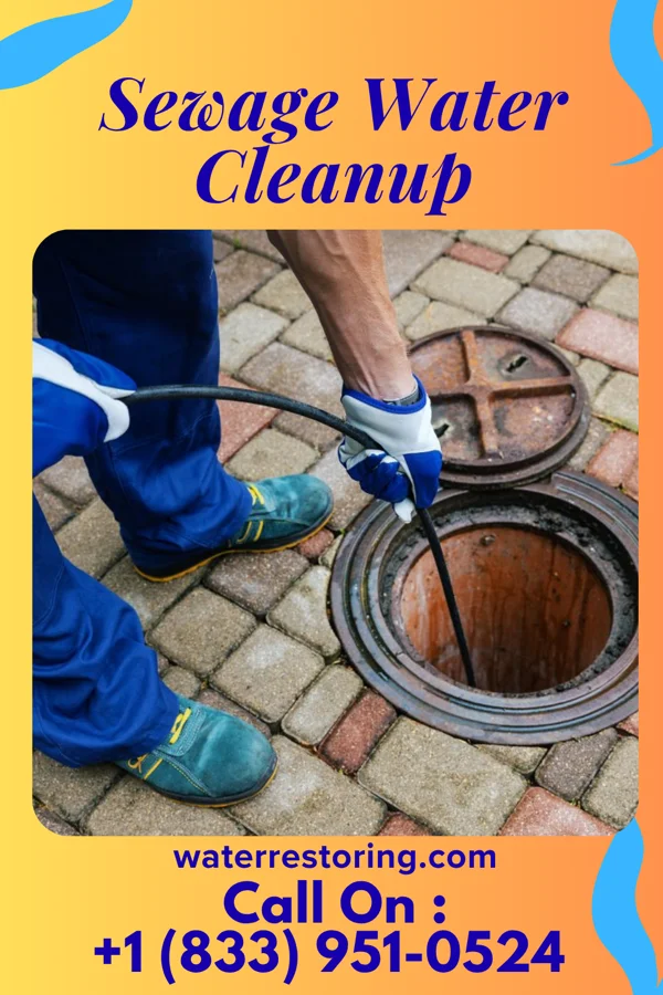 Sewage Water Cleanup in Burlison, TN