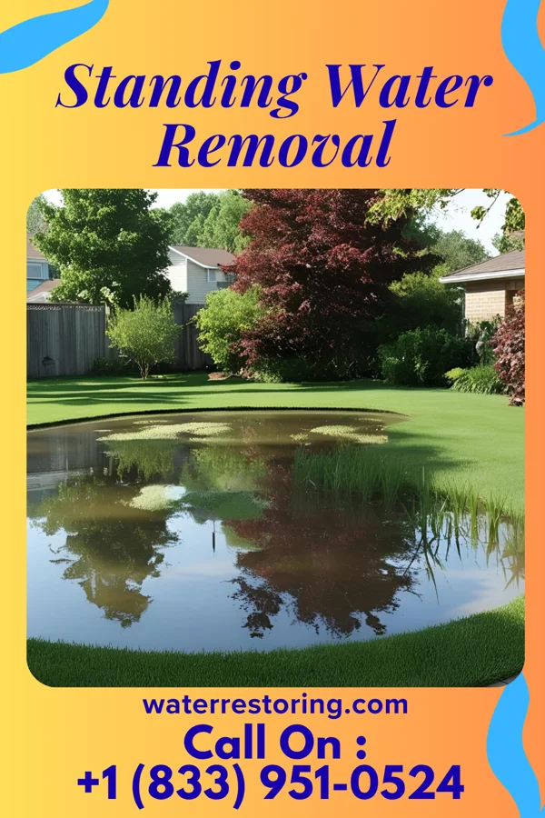 Standing Water Removal in Burlison, TN